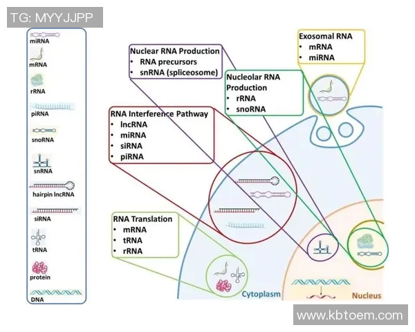 武汉羽毛球队状态分析与未来发展展望的深度探讨